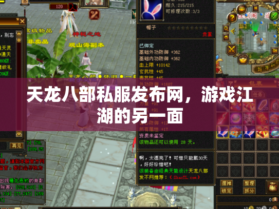 天龙八部私服发布网，游戏江湖的另一面