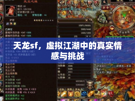 天龙sf，虚拟江湖中的真实情感与挑战