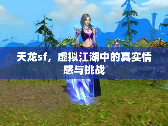 天龙sf，虚拟江湖中的真实情感与挑战