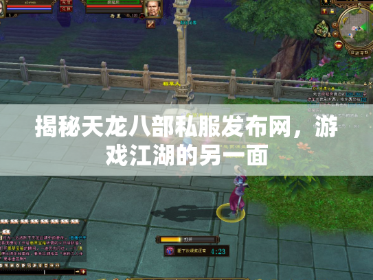 揭秘天龙八部私服发布网，游戏江湖的另一面