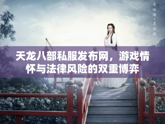 天龙八部私服发布网，游戏情怀与法律风险的双重博弈