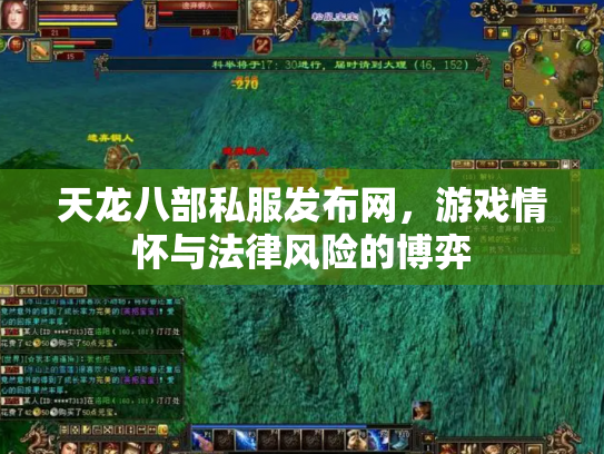 天龙八部私服发布网，游戏情怀与法律风险的博弈