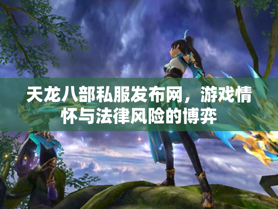 天龙八部私服发布网，游戏情怀与法律风险的博弈
