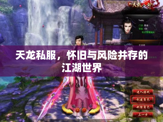 天龙私服，怀旧与风险并存的江湖世界