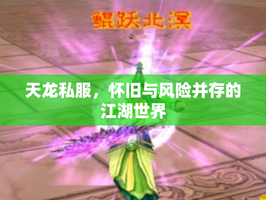 天龙私服，怀旧与风险并存的江湖世界