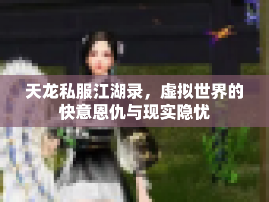 天龙私服江湖录，虚拟世界的快意恩仇与现实隐忧