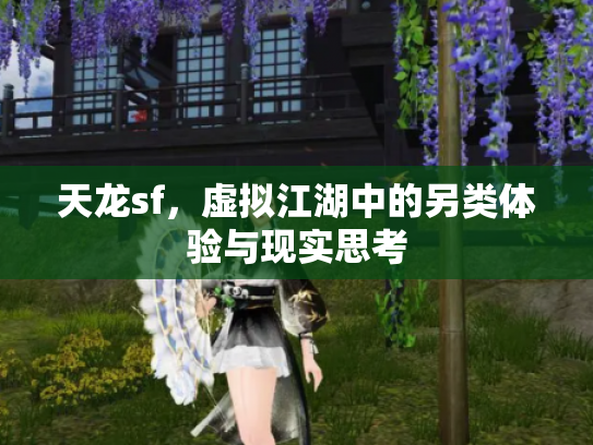 天龙sf，虚拟江湖中的另类体验与现实思考