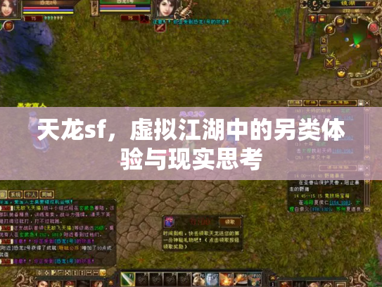天龙sf，虚拟江湖中的另类体验与现实思考