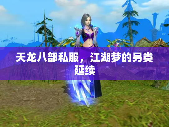 天龙八部私服，江湖梦的另类延续
