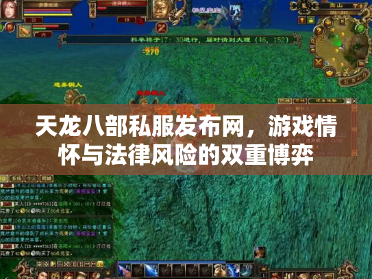 天龙八部私服发布网，游戏情怀与法律风险的双重博弈