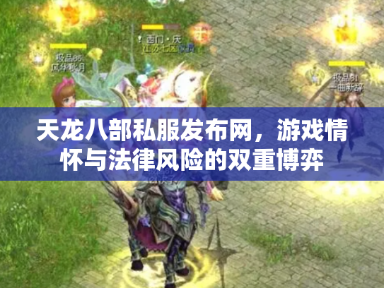 天龙八部私服发布网，游戏情怀与法律风险的双重博弈