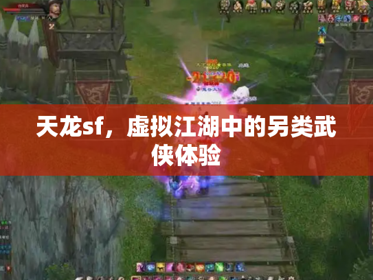 天龙sf，虚拟江湖中的另类武侠体验