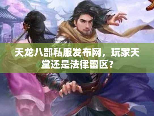 天龙八部私服发布网，玩家天堂还是法律雷区？