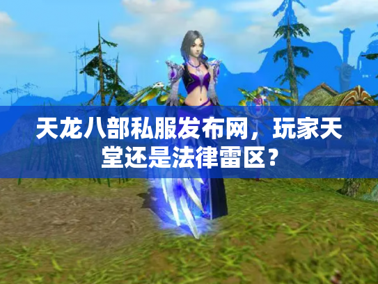 天龙八部私服发布网，玩家天堂还是法律雷区？