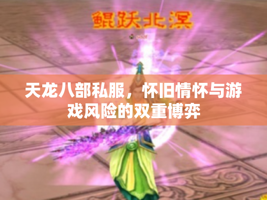 天龙八部私服，怀旧情怀与游戏风险的双重博弈