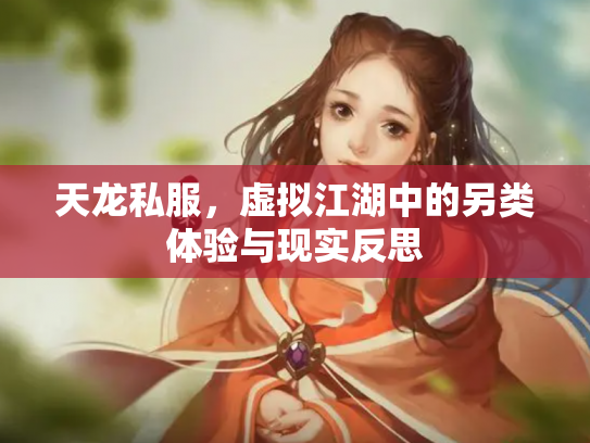 天龙私服，虚拟江湖中的另类体验与现实反思