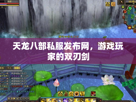 天龙八部私服发布网，游戏玩家的双刃剑