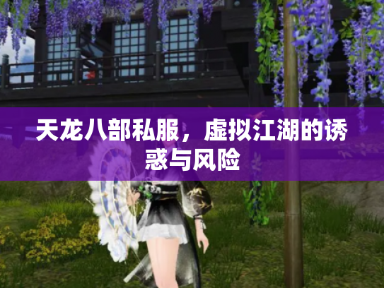 天龙八部私服，虚拟江湖的诱惑与风险