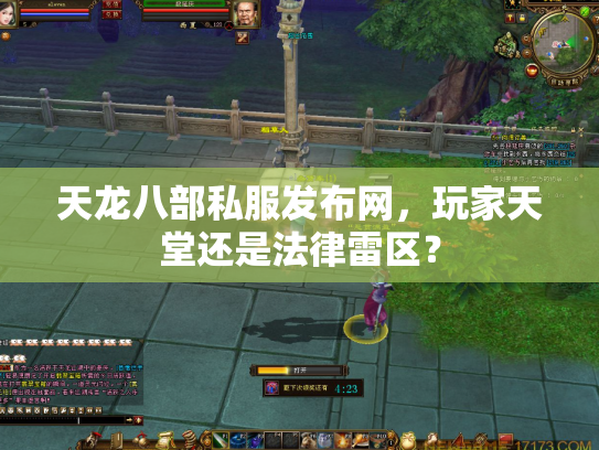 天龙八部私服发布网，玩家天堂还是法律雷区？