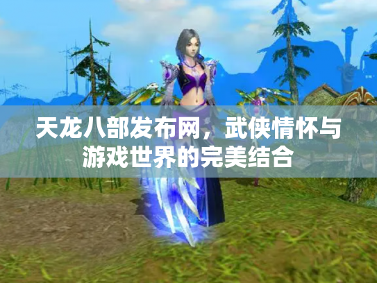 天龙八部发布网，武侠情怀与游戏世界的完美结合