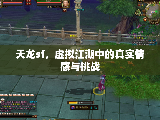 天龙sf，虚拟江湖中的真实情感与挑战