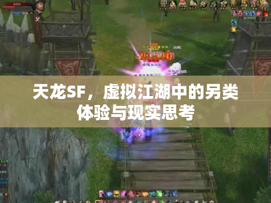 天龙SF，虚拟江湖中的另类体验与现实思考