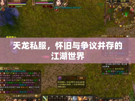 天龙私服，怀旧与争议并存的江湖世界