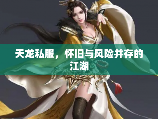 天龙私服，怀旧与风险并存的江湖
