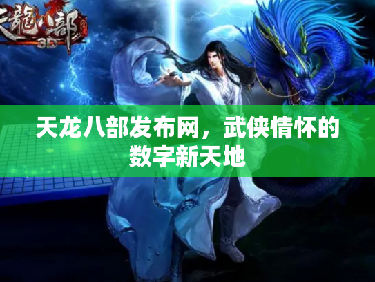 天龙八部发布网，武侠情怀的数字新天地
