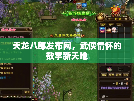 天龙八部发布网，武侠情怀的数字新天地