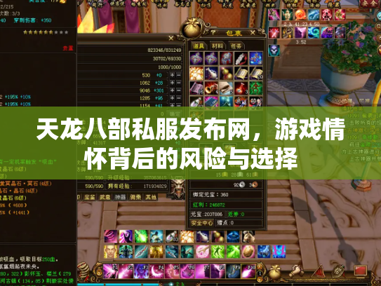 天龙八部私服发布网，游戏情怀背后的风险与选择