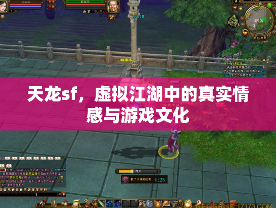 天龙sf，虚拟江湖中的真实情感与游戏文化