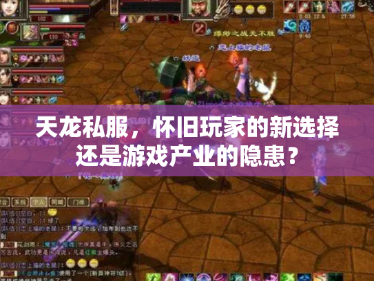 天龙私服，怀旧玩家的新选择还是游戏产业的隐患？