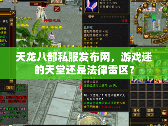 天龙八部私服发布网，游戏迷的天堂还是法律雷区？