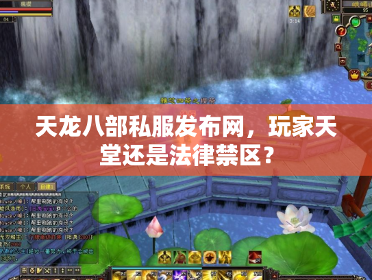 天龙八部私服发布网，玩家天堂还是法律禁区？