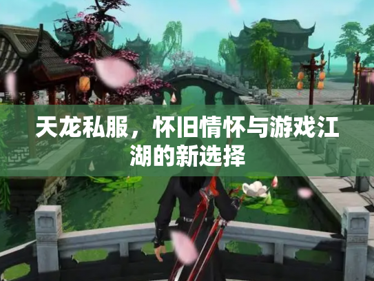 天龙私服，怀旧情怀与游戏江湖的新选择
