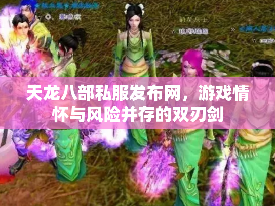 天龙八部私服发布网，游戏情怀与风险并存的双刃剑