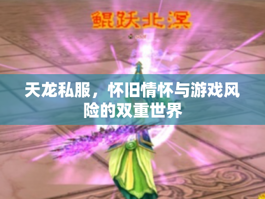 天龙私服，怀旧情怀与游戏风险的双重世界