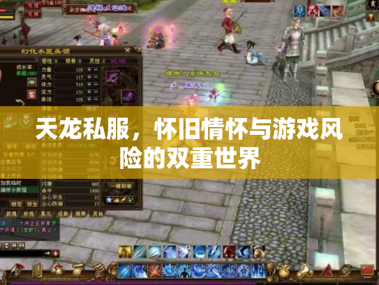 天龙私服，怀旧情怀与游戏风险的双重世界