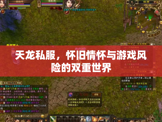 天龙私服，怀旧情怀与游戏风险的双重世界