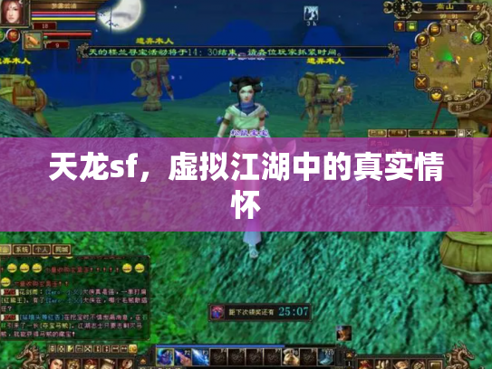 天龙sf，虚拟江湖中的真实情怀