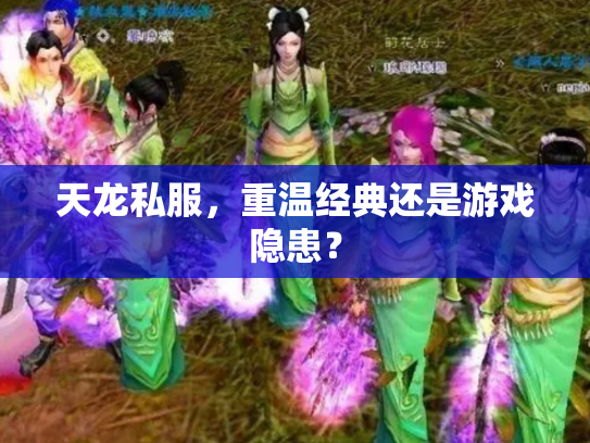 天龙私服，重温经典还是游戏隐患？