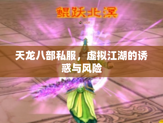 天龙八部私服，虚拟江湖的诱惑与风险
