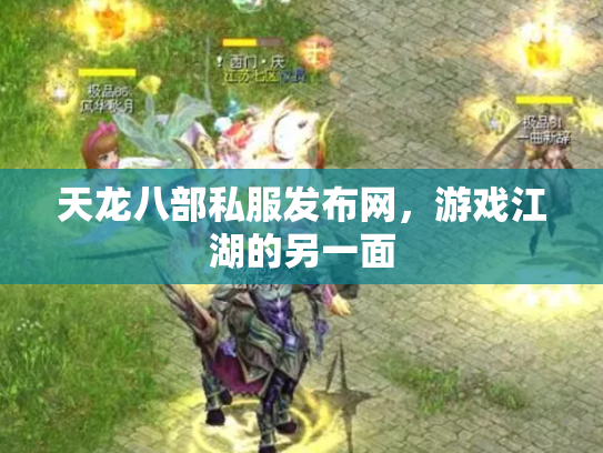 天龙八部私服发布网，游戏江湖的另一面