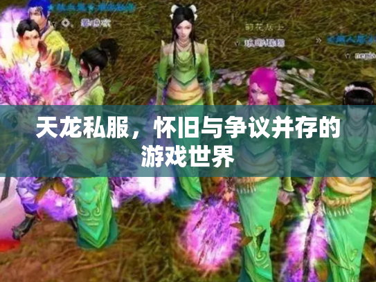 天龙私服，怀旧与争议并存的游戏世界