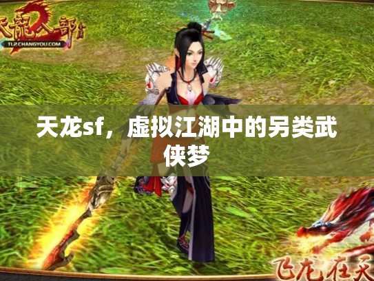 天龙sf，虚拟江湖中的另类武侠梦