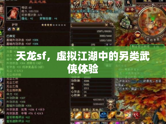 天龙sf，虚拟江湖中的另类武侠体验