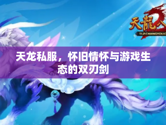 天龙私服，怀旧情怀与游戏生态的双刃剑