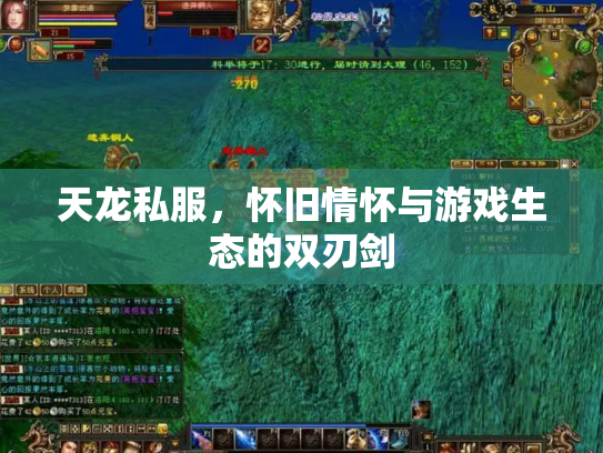 天龙私服，怀旧情怀与游戏生态的双刃剑