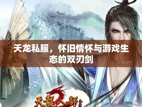 天龙私服，怀旧情怀与游戏生态的双刃剑